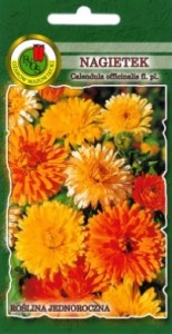 PNOS Nagietek niski mieszany 3g