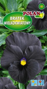 POLAN Bratek Wielkokwiatowy czarny 0,4g