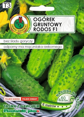 PNOS Ogórek Gruntowy Rodos F1 - Nasiona na taśmie z nawozem