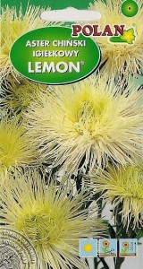 POLAN Aster igiełkowy Lemon kremowy 1g