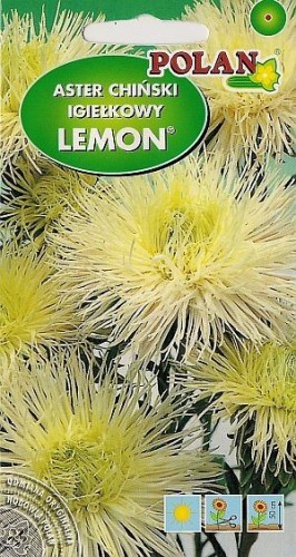 POLAN Aster igiełkowy Lemon kremowy 1g