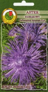 PNOS Aster igiełkowy Warszawske Lila niebieski 0,8g