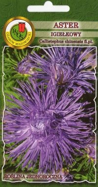 PNOS Aster igiełkowy Warszawske Lila niebieski 0,8g