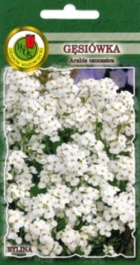 PNOS Gęsiówka biała 0,3 g