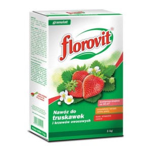 Florovit do truskawek i poziomek 1,0kg karton