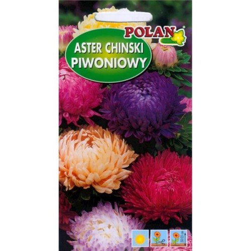 POLAN Aster peoniowy mieszanka 1g