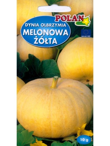 POLAN Dynia Melonowa Żółta 5g