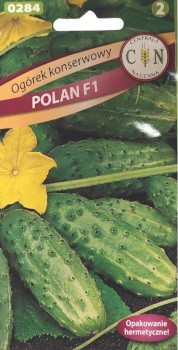 CN Ogórek gruntowy Polan 2g 