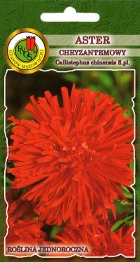 PNOS Aster chryzantemowy czerwony 0,8g