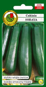 PNOS Dynia zwyczajna Cukinia Soraya Oża 3 g