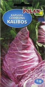 POLAN Kapusta czerwona Kalibos 1g