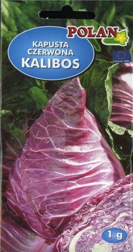 POLAN Kapusta czerwona Kalibos 1g