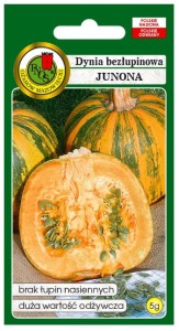 PNOS Dynia zwyczajna Junona bezłupinowa 5g
