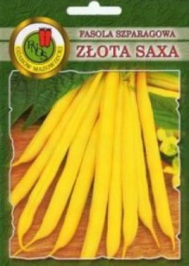 PNOS Fasola szparagowa Złota Saxa żółta 500g