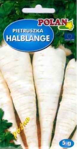 POLAN Pietruszka Halblange- Berlińska  5g 