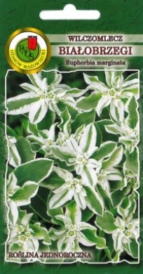 PNOS Wilczomlecz białobrzegi 0,3g