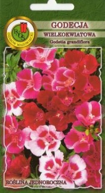 PNOS Godecja wielkokwiatowa mieszanka 1g