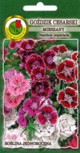 PNOS Goździk cesarski  mieszany 1g