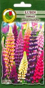 PNOS Łubin trwały Russell mieszany 2g