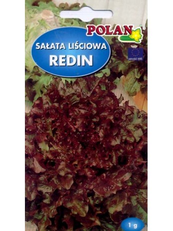 POLAN Sałata liściasta Redin czerwona 1g