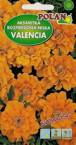 POLAN Aksamitka rozpierzchła Valencia pom. pełna 1g