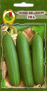 PNOS Ogórek pod osłony Iwa 1g
