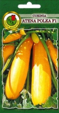 PNOS Cukinia Atena Polka F1 100 g