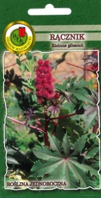 PNOS Rącznik czerwonolistny 3g