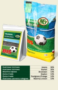 GRANUM Trawa Boiskowa Bis 15kg