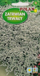 POLAN Zatrwian Tatarski Biały 0,3g