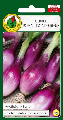 PNOS Cebula Rossa Lunga di Firenze 1g