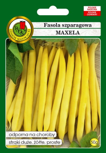 PNOS Fasola Szparagowa Żółta Karłowa Maxela 50g