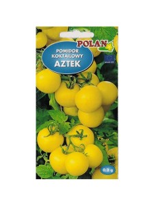POLAN Pomidor gruntowy Aztek żółty karłowaty kokt. 0,2g
