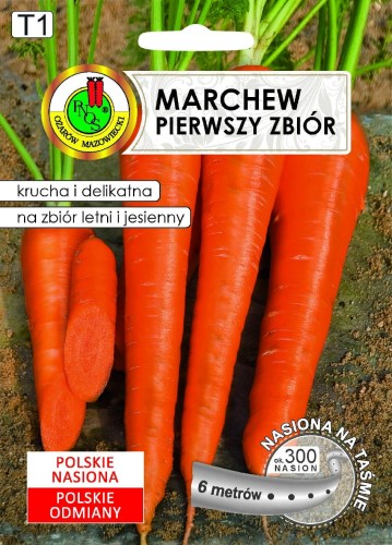 PNOS Marchew Pierwszy Zbiór na taśmie 6m