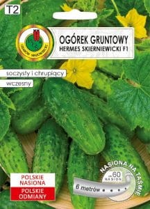 PNOS Ogórek Gruntowy Hermes Skierniewicki na taśmie 6m