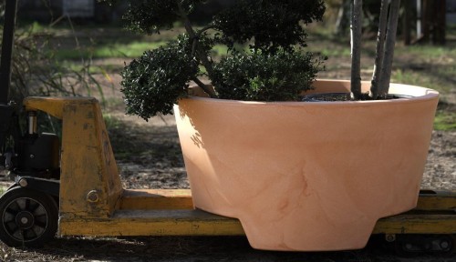 ELBI Donica ERCOLINO 80 Beżowa