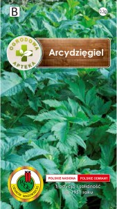 PNOS Arcydzięgiel 0,3g