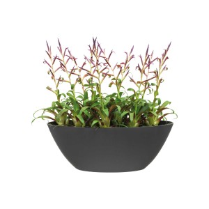 ELHO BRUSSELS OSŁONKA OWALNA 36CM CIEMNO SZARA