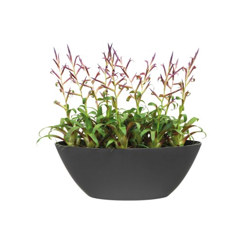 ELHO BRUSSELS OSŁONKA OWALNA 36CM CIEMNO SZARA