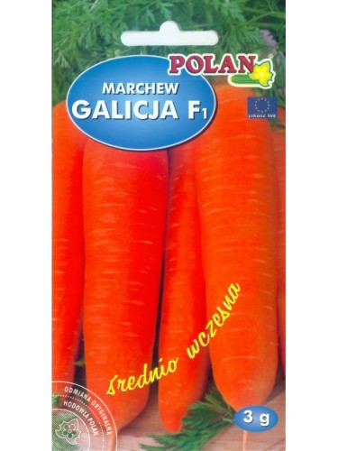 POLAN Marchew Galicja F1 3g