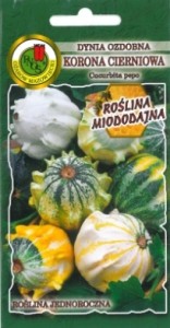 PNOS Dynia ozdobna Korona Cierniowa mieszanka 1g