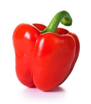 SYNGENTA Papryka Jupiter F1 1000n 