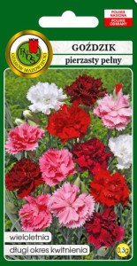 PNOS Goździk pierzasty pełny mieszany 0,3g