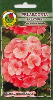 PNOS Pelargonia rabatowa łososiowa F1 10z