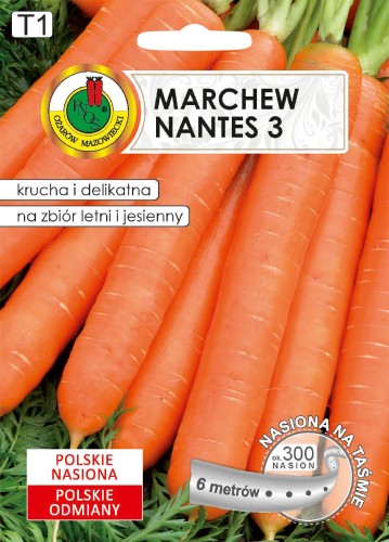 PNOS Marchew jadalna Nantes 3 6m