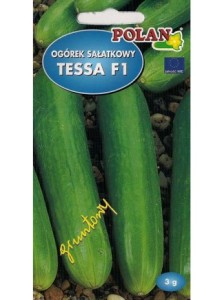 POLAN Ogórek gruntowy Tessa sałatkowy F1 3g