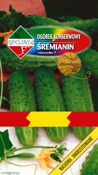 SPÓJNIA Ogórek Gruntowy Śremianin F1 50g