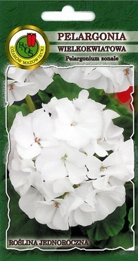 PNOS Pelargonia rabatowa F1 biała 10z