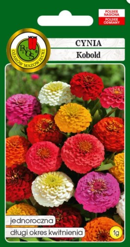 PNOS Cynia daliowa kobold mieszany 1g