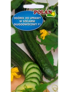 POLAN Ogórek szklarniowy Dukat F1 0,5g